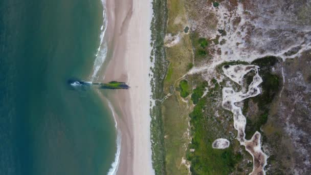 Golpe Dron Arriba Abajo Una Hermosa Playa Los Países Bajos — Vídeos de Stock