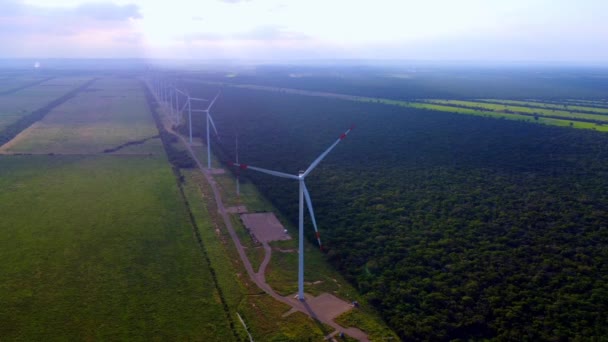 Santa Cruz Bolivya Dorado Denilen Rüzgar Türbinleri — Stok video