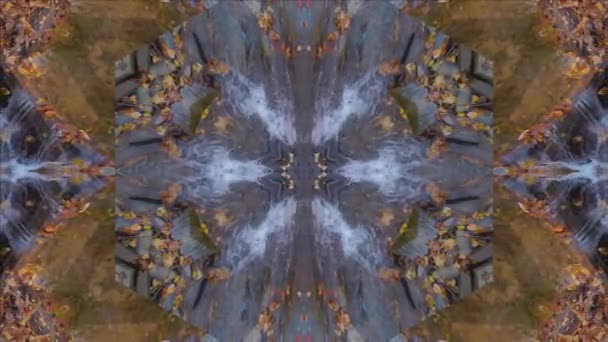Nature Kaleidoscope Looping 60Fps Wissahickon Creek Scenery — Stock Video