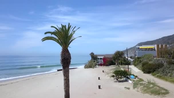 Datumpalm Leeg Strand Bij Corona Shutdown Prachtige Vlucht Vanuit Lucht — Stockvideo