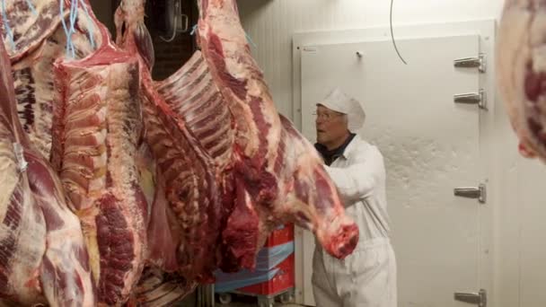Człowiek Przewożący Tusze Mięsa Hakach Mięsnych Dużej Celi Chłodzącej — Wideo stockowe