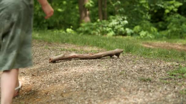 Female Child Picking Stick While Walking Woodlands — Stock Video