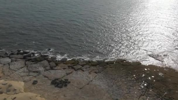 Vue Aérienne Côte Rocheuse Fissurée Près Golfe Oman Jiwani Dolly — Video