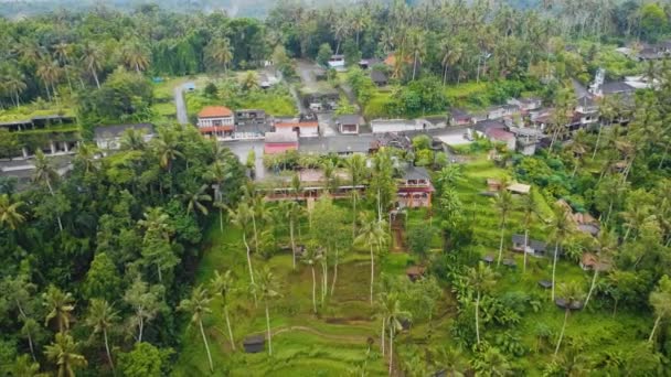 Magnifique Ubud Cinématographique Images Drone Bali Avec Terrasse Riz Exotique — Video