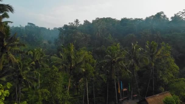 Schöne Filmische Ubud Bali Drohnenaufnahmen Mit Exotischen Reisterrassen Kleinen Farmen — Stockvideo