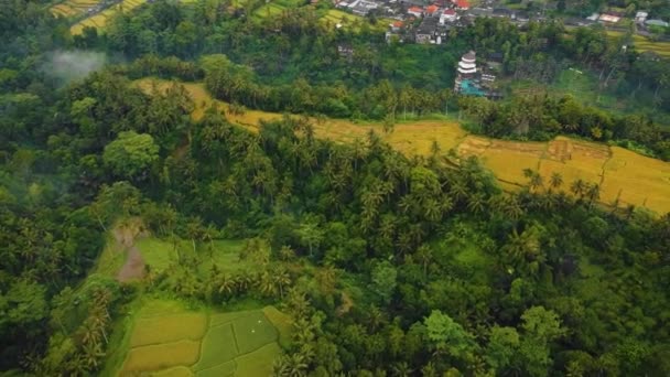 Bonito Ubud Cinematográfico Bali Drone Footage Com Terraço Arroz Exótico — Vídeo de Stock