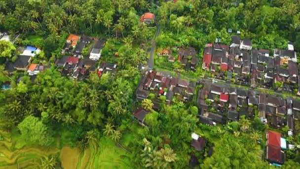 Krásné Filmové Ubud Záběry Bali Dronů Exotickou Rýžovou Terasou Malými — Stock video