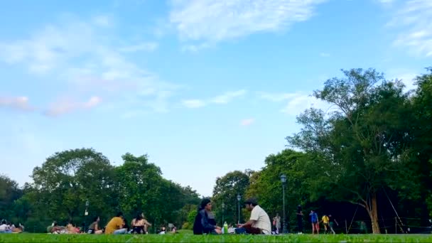 Dav Lidí Užívá Piknik Botanické Zahradě Singapuru — Stock video