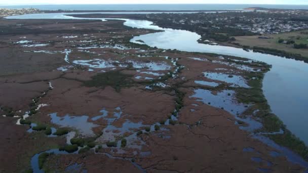 Vista Aérea Los Humedales Que Miran Río Abajo Sobre Río — Vídeos de Stock