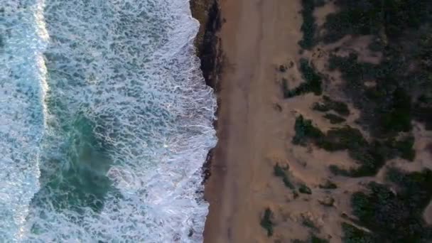Verticale Drone Beelden Die Van Het Strand Naar Het Ocreane — Stockvideo