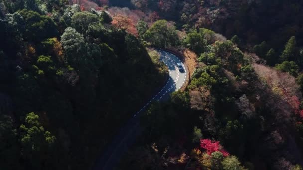Letecký Vůz Jedoucí Klikaté Malebné Silnici Zalesněných Horách Minoo Ósaka — Stock video