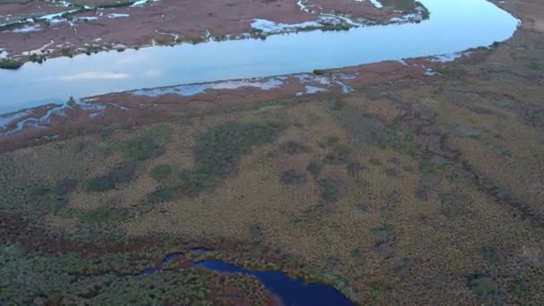Вид Дронов Различные Виды Растительности Воду Озере Конневарре Около Барвон — стоковое видео