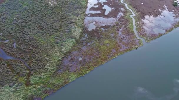 Вид Воздуха Различные Виды Растительности Воды Озере Конневарре Около Барвон — стоковое видео