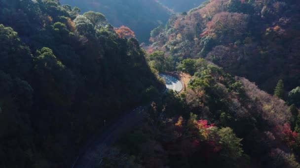 Otoño Minoo Park Osaka Japón Vista Aérea Amanecer — Vídeo de stock