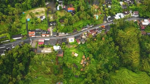 Hermosa Película Ubud Bali Drone Metraje Con Terraza Arroz Exótico — Vídeos de Stock