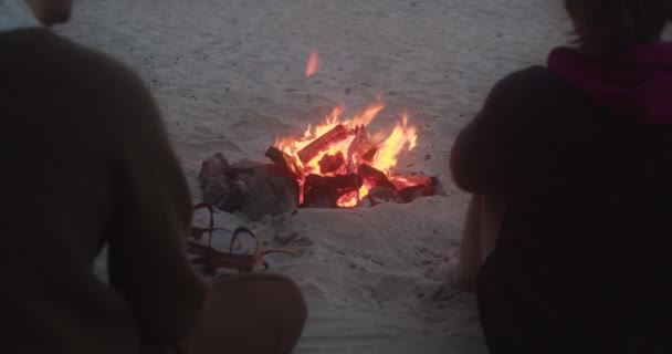 Persone Sedute Sulla Sabbia Che Riscaldano Vicino Falò Sulla Spiaggia — Video Stock