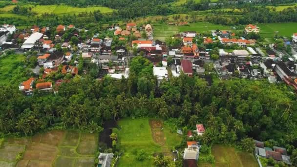 Krásné Filmové Ubud Záběry Bali Dronů Exotickou Rýžovou Terasou Malými — Stock video