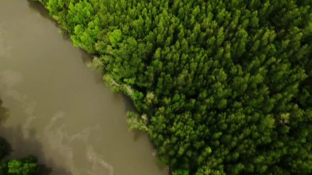 Nsansız Hava Aracı Phang Nga Körfezi Nin Adaların Dağların Görüntülerini — Stok video