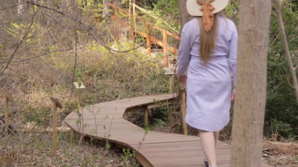 Zadní Pohled Jednu Turistickou Dívku Kráčející Dřevěné Stezce Lese — Stock video