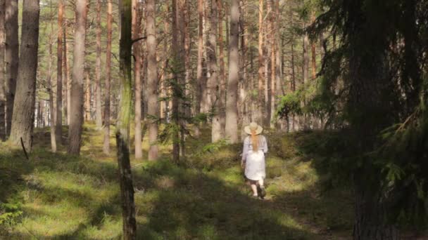 Kobieta Machająca Drzew Miłość Natury Chodzenie Spokojnym Lesie Dzień — Wideo stockowe