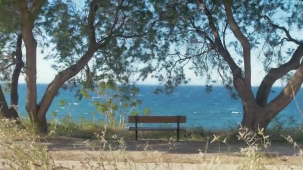 Banc Vide Donnant Sur Mer Venteuse Encadrée Arbres — Video