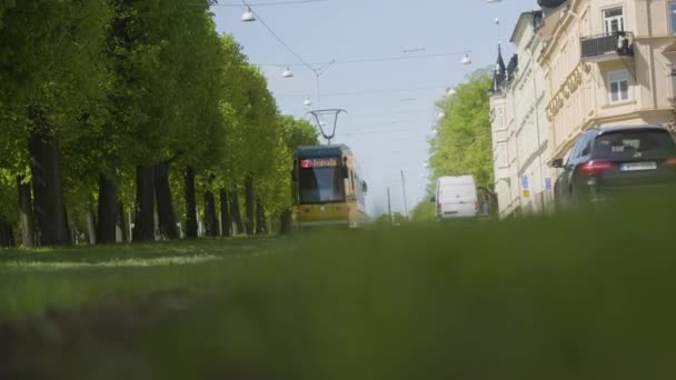 Niski Kąt Podłoża Punkt Żółty Zielony Tramwaj Przebiegający Przez Aleję — Wideo stockowe