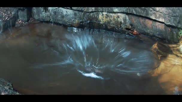 Кидає Камінь Воду — стокове відео