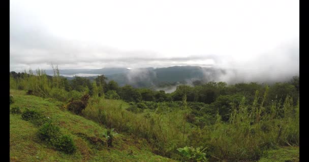 随着阵阵风吹来的云彩和滚滚的雾气 在哥斯达黎加蒙特韦尔德的农村山丘上可以看到 系列中四个中的一个 — 图库视频影像