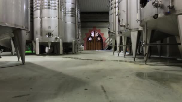 Bodega Gotica Является Семейным Предприятием Которое Производит Виноград Течение Нескольких — стоковое видео