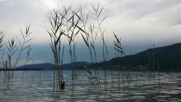 Quiet Day Lake Worthersee Klagenfurt Carinthia Austria — Stockvideo