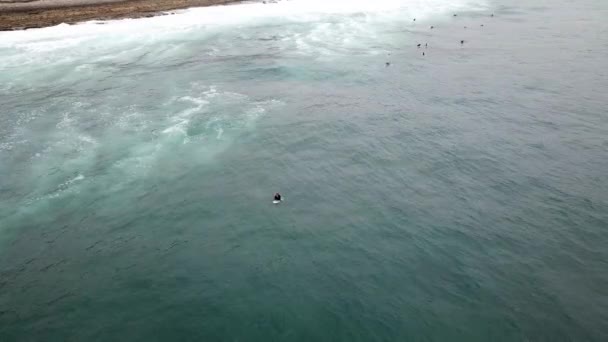 许多冲浪者连续坐在冲浪板上等待下一波冲浪板 — 图库视频影像