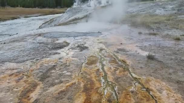 Footage One Many Geysers Yellowstone National Park Located Wyoming — Stock Video