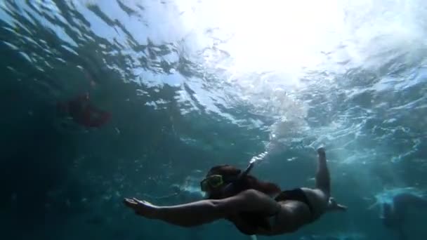 Caribe Océano Submarino Fauna Hermosa Chica Buzo — Vídeos de Stock