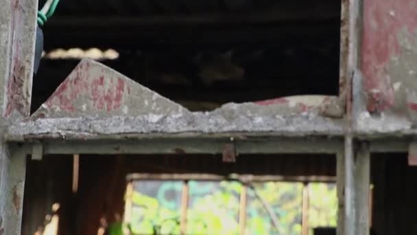 Κοιτάζοντας Μέσα Από Σπασμένο Παράθυρο Μιας Εγκαταλελειμμένης Αποθήκης Βλάστηση Μεγαλώνει — Αρχείο Βίντεο