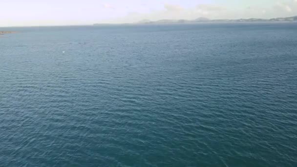 Tarde Pelo Oceano Northland — Vídeo de Stock