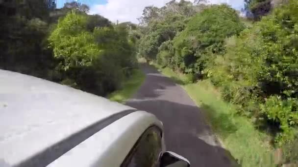 Cámara Coche Del Techo Camino Selva Isla Waiheke Nueva Zelanda — Vídeo de stock
