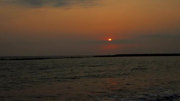 Möwen Fliegen Bei Sonnenuntergang Und Die Silhouette Einer Person Über — Stockvideo