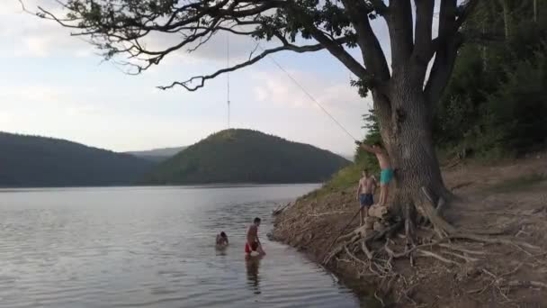 Men Jumps Water Tree — Stock Video