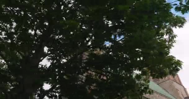 Собор Готическом Стиле Открылся Деревьями Солнечный День — стоковое видео