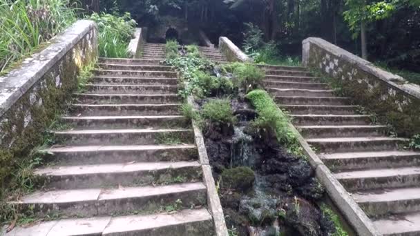 Historic Cold Spring Located Bussaco Woods Luso Coimbra Portugal Next — Vídeos de Stock