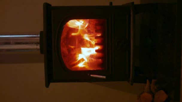 Vertical Video Fire Burning Fireplace — Stockvideo