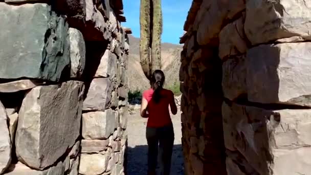 Brunette Tourist Walking Constructions Pucara Tilcara Photographing Beautiful Local Landscape — ストック動画