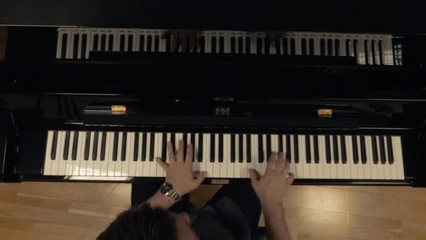Κλασικός Πιανίστας Που Παίζει Πιάνο Θέα Πουλιά — Αρχείο Βίντεο