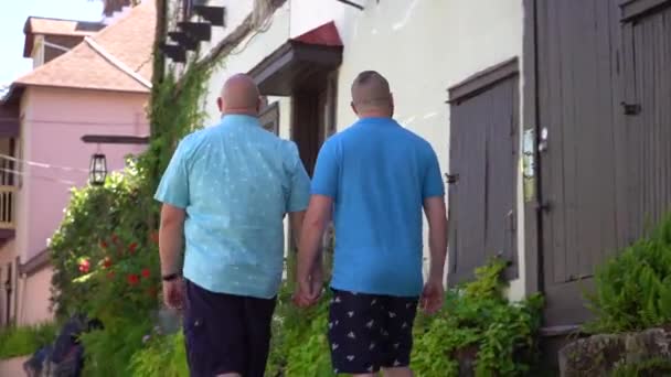 Gay Paar Holding Handen Lopen Naar Beneden Een Kasseien Straat — Stockvideo