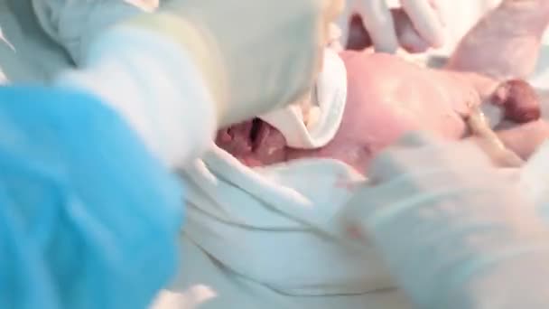 New Born Baby Boy Gets Cleaned Nurse Cleans Newborn Baby — Vídeo de Stock