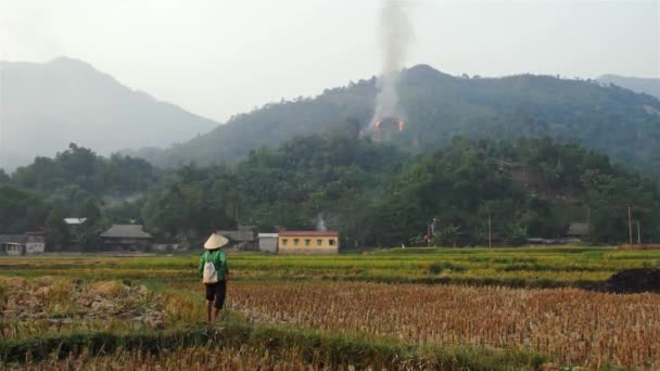 Rural Vietnam Rice Field Farming Forest Fire Threatening Crop — Stockvideo