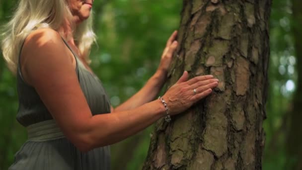 Uma Velhota Pairar Mão Num Tronco Árvore Conceito Conexão Com — Vídeo de Stock