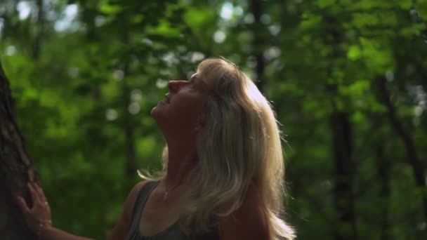 Mendekati Seorang Wanita Yang Menyentuh Batang Pohon Sambil Melihat Atas — Stok Video