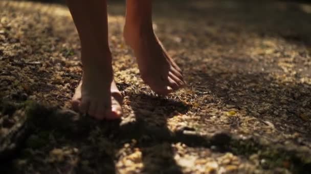 Primeros Pies Mujer Caminando Descalza Bosque — Vídeos de Stock