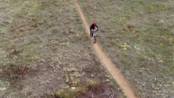 Drone Tracking Female Mountain Biker Australia — Stok video